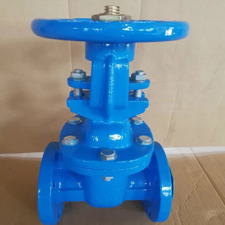 Cast Iron Brass Sealed Rising Stem Gate Valves