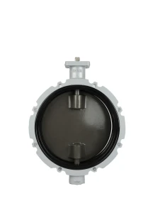 Butterfly Valve For Powder