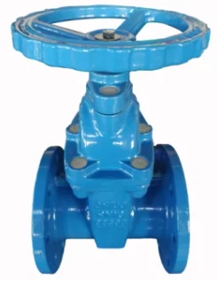 Manufacturers Ductile Iron Resilient Flanged Gate Valve