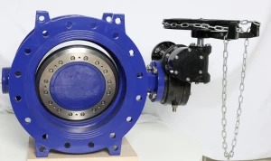 Bagaimana untuk menggunakan injap rama-rama eksentrik berganda?