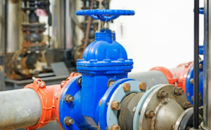 Perbezaan Dan Pemilihan Antara Injap Suhu Rendah Dan Injap Suhu Biasa